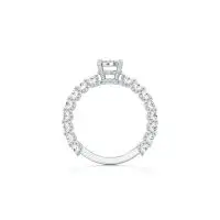 Enticing Cluster Diamond Ring in White 10k Gold